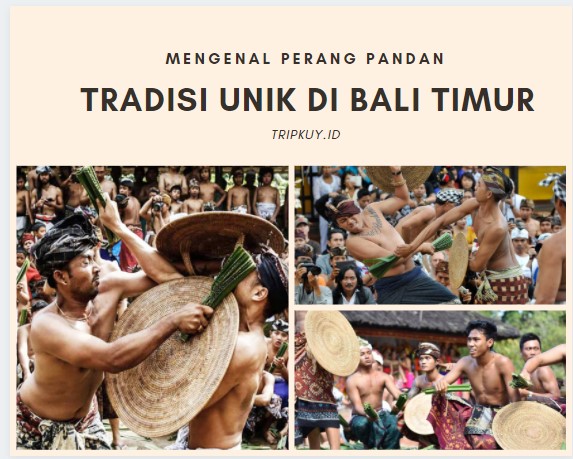 Mengenal Perang Pandan di Bali, Tradisi Yang Masih Dilestarikan Hingga Kini