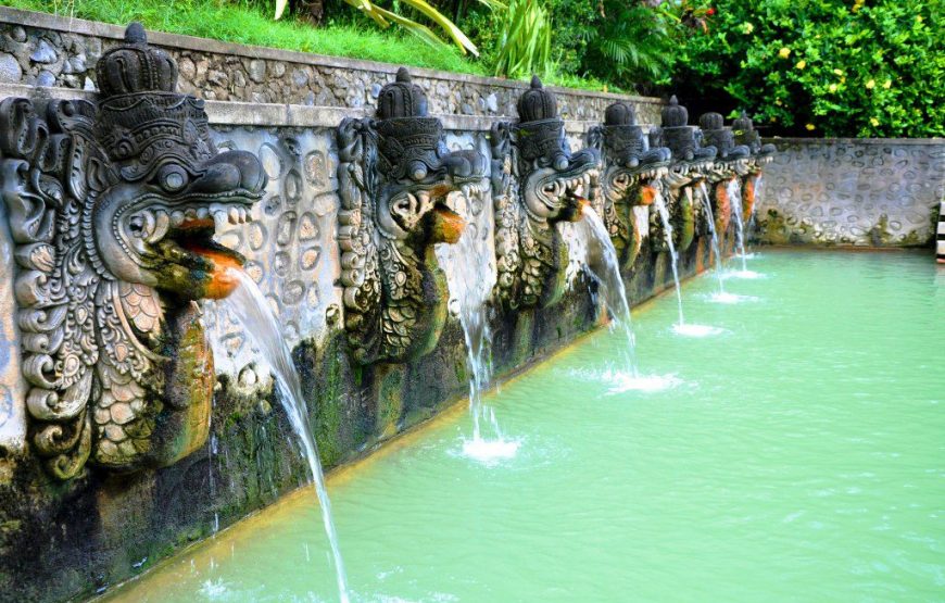 Paket Tur Spesial: Menyaksikan Lumba-lumba di Pantai Lovina