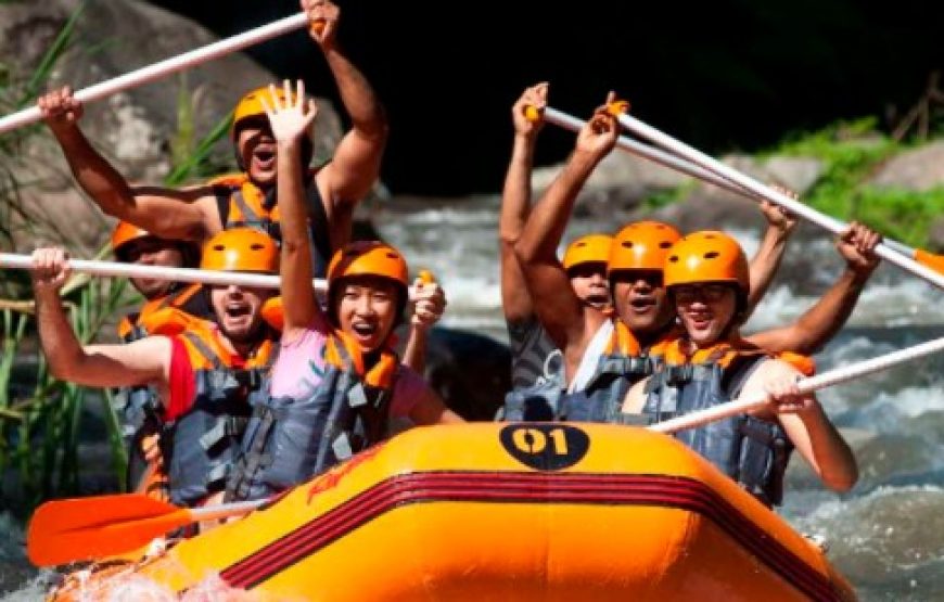 Paket Tur 1 Hari Rafting Sungai Ayung (All In)