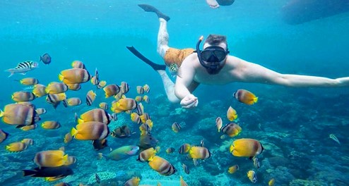 Nikmati Keindahan Bawah Laut Dengan Snorkeling di Nusa Penida 