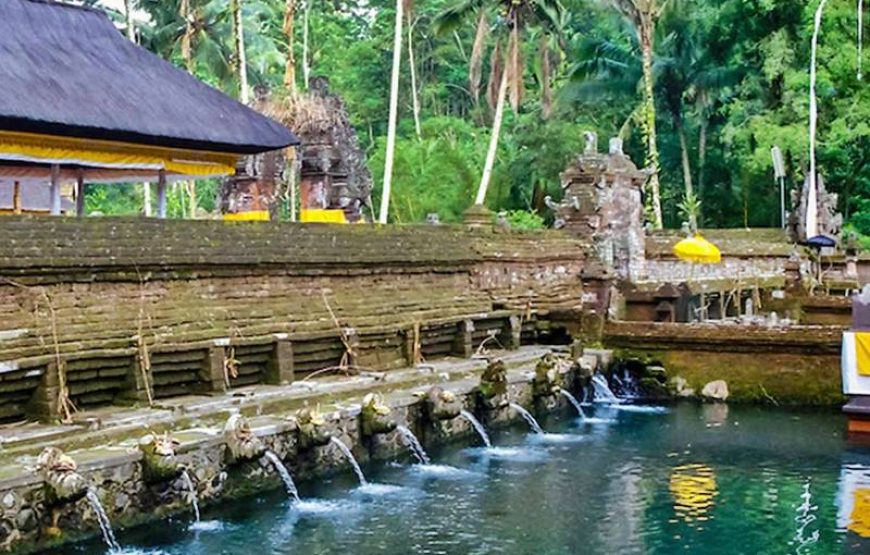 Paket Tur 1 Hari Jalan-Jalan ke Ubud dan Kintamani