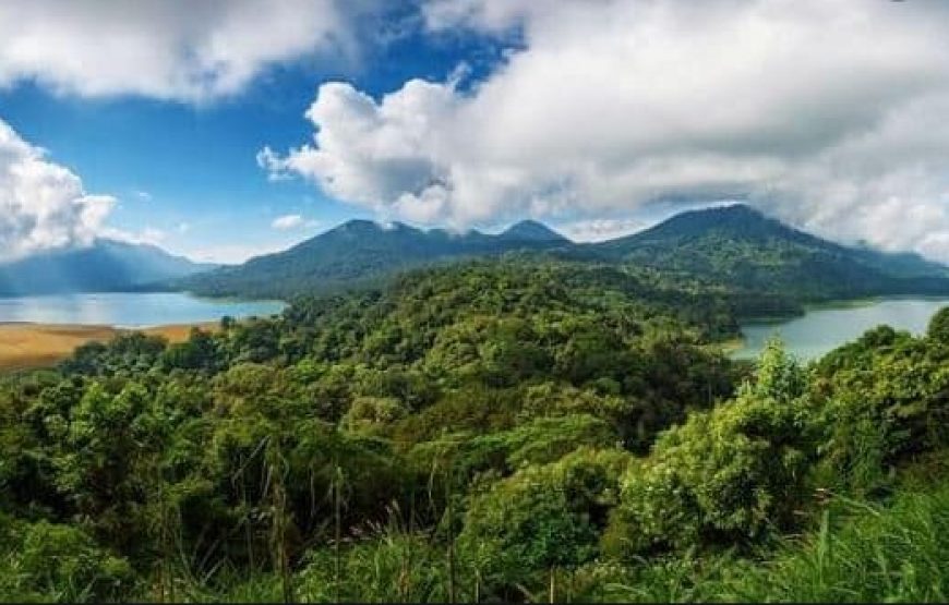 Paket Tur Spesial: Menyaksikan Lumba-lumba di Pantai Lovina